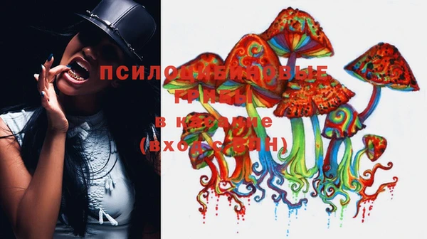 молекула духа Магас