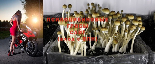 синтетический гашиш Мегион