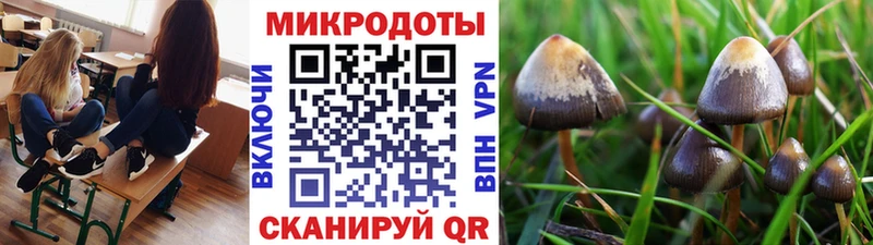 Псилоцибиновые грибы MAGIC MUSHROOMS  Приволжский 